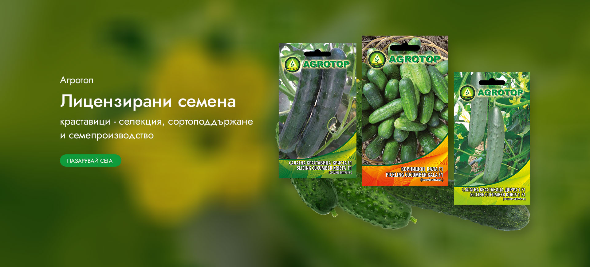 Краставици от Агротоп