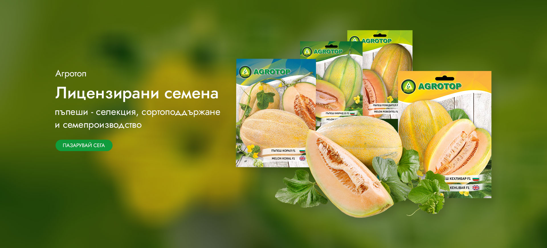 Пъпеши от Агротоп